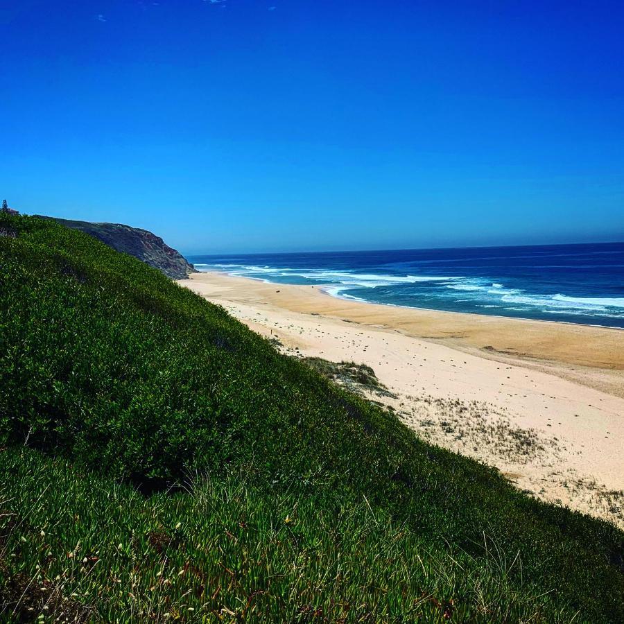 Pines Of Salgado Beachview Villa By Book Yourholiday Pt Nazare Bagian luar foto